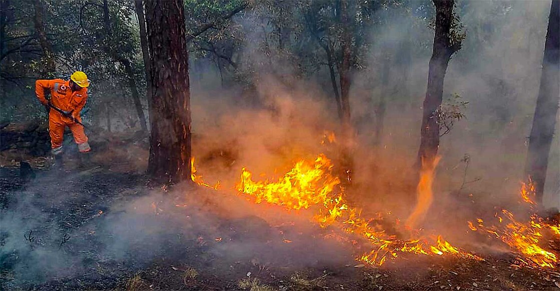 ഉത്തരാഖണ്ഡിൽ കാട്ടുതീ കെടുത്താൻ ശ്രമിക്കുന്ന ദേശീയ ദുരന്ത നിവാരണ സേനാംഗം (പിടിഐ ചിത്രം)