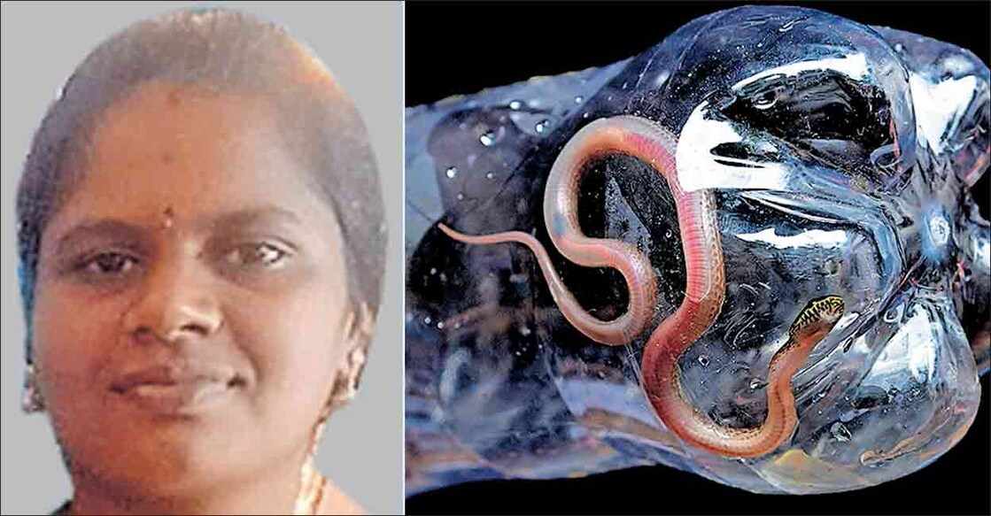 cm-gayathri-and-snake (1) സി.എം. ഗായത്രി (2) ചിറ്റൂർ താലൂക്ക് ആശുപത്രിയിൽ യുവതിയുടെ കയ്യിലേക്കു ചാടിയ പാമ്പ്.