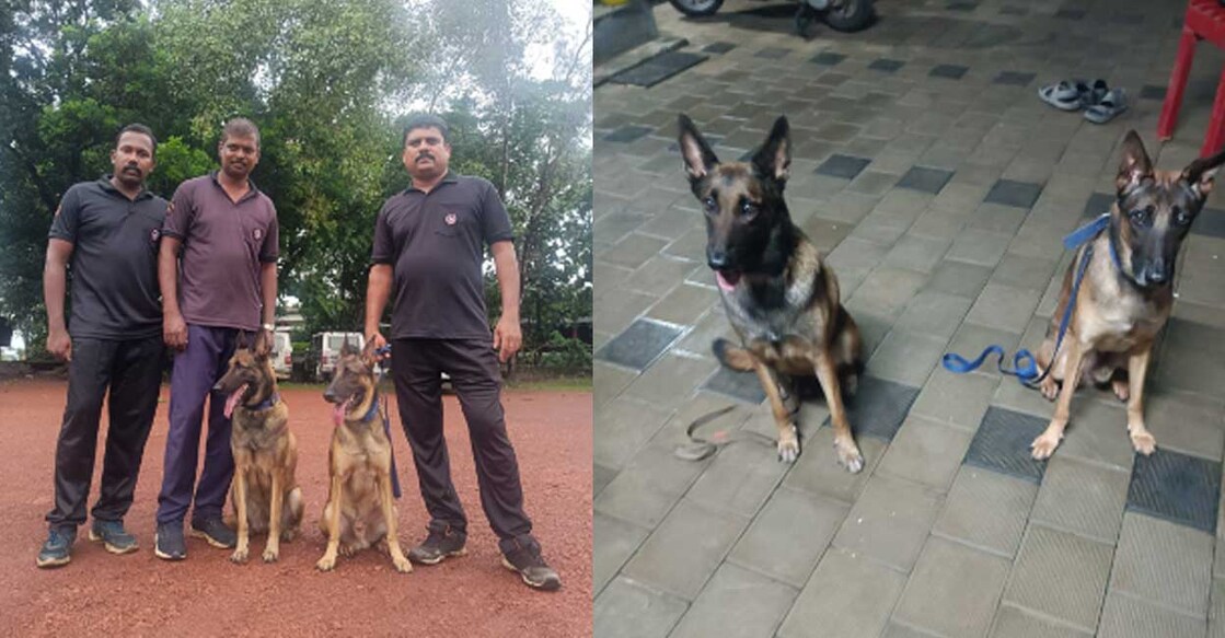 കേരളാ പൊലീസിന്റെ നായകളായ മർഫിയും മായയും പരിശീലകരോടൊപ്പം. Image Credit : Special Arrangement