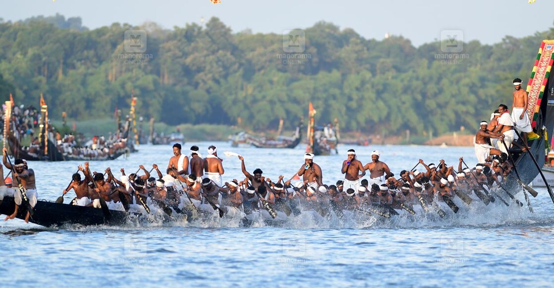 aranmula-boat-race-98
ആറന്മുള ഉത്തൃട്ടാതി ജലോത്സവത്തോടനുബന്ധിച്ച് നടന്ന മത്സര വള്ളംകളിയിൽ നിന്ന്. ചിത്രം: ഹരിലാൽ ∙ മനോരമ