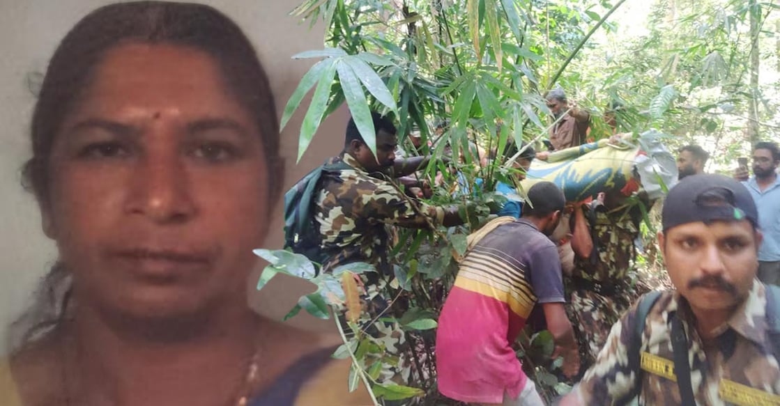 radha-wayanad-tiger-attack radha-wayanad-tiger-attack