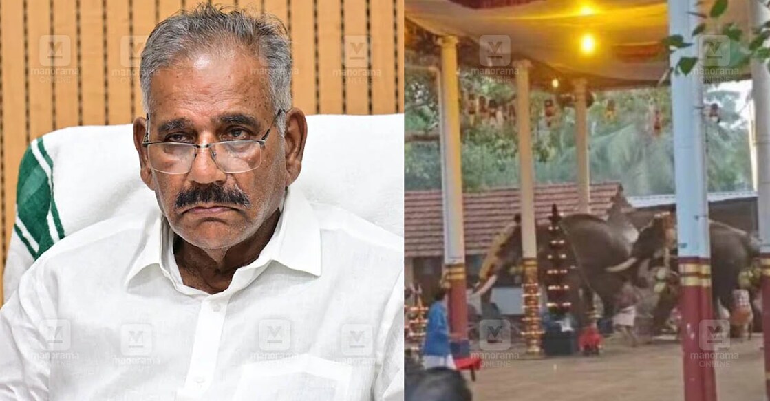 വനം മന്ത്രി എ.കെ.ശശീന്ദ്രൻ. (ഫയൽ ചിത്രം: മനോരമ)