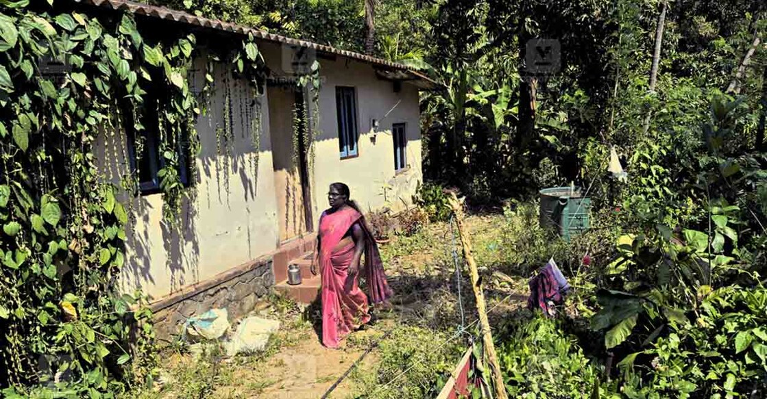 പാലക്കയം ഇഞ്ചിക്കുന്ന് വട്ടപ്പാറയിൽ വന്യമൃഗശല്യം കാരണം ഉപേക്ഷിച്ച തന്റെ വീടിനു മുന്നിൽ എൽസി തമ്പി. ചിത്രം: മനോരമ