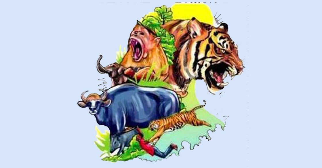 wild-animals