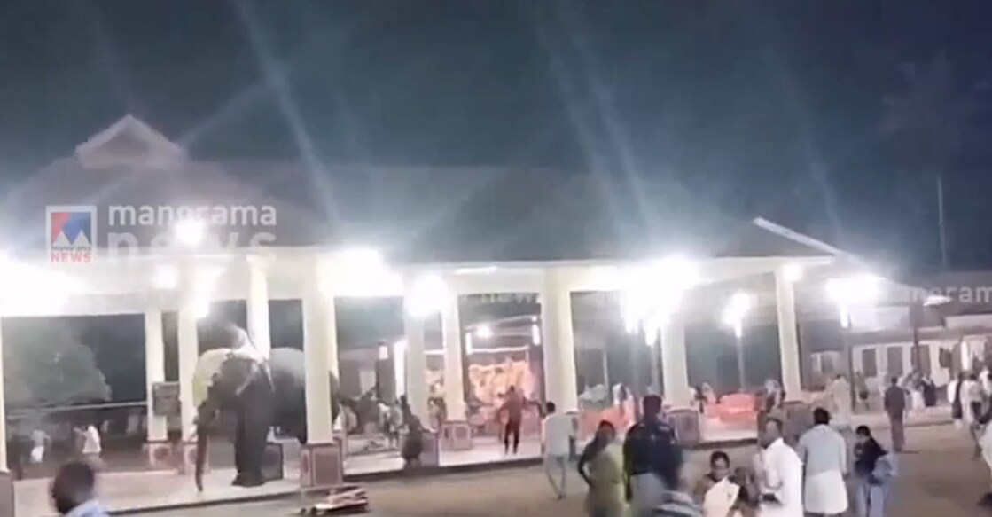 
 തിരുവല്ല ശ്രീവല്ലഭ ക്ഷേത്രത്തില്‍ ഉത്സവ എഴുന്നള്ളിപ്പിനിടെ ആന ഇടഞ്ഞപ്പോൾ (വിഡിയോ ദൃശ്യത്തിൽനിന്ന്)

