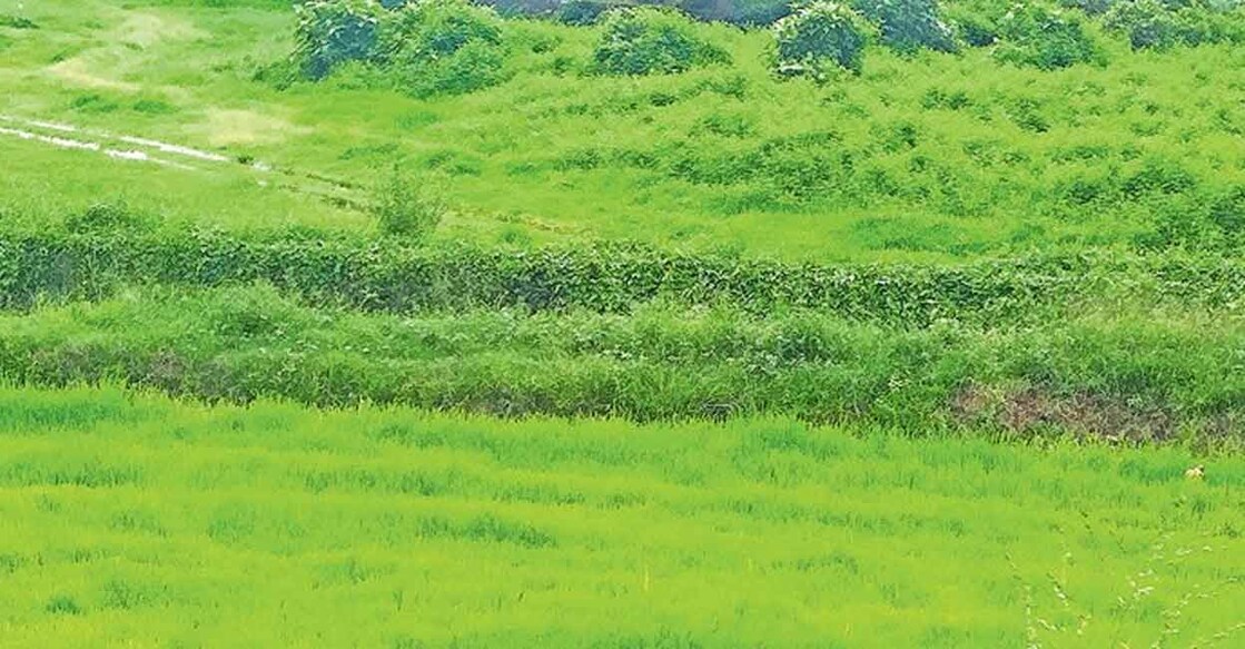 land-representational-image-1 പ്രതീകാത്മക ചിത്രം