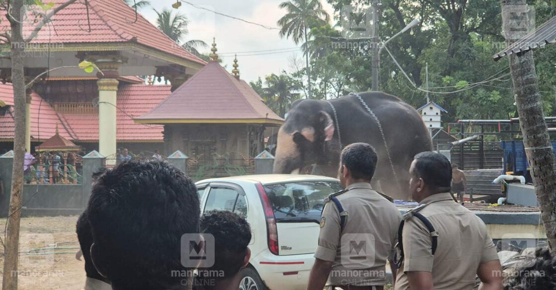 elephant-attack-edakochi-1
