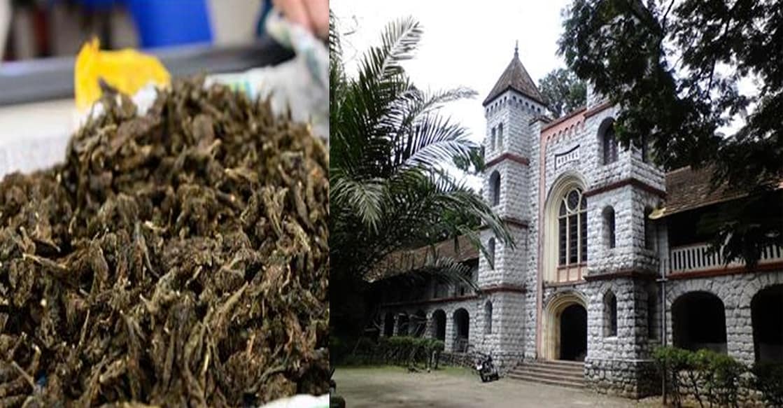 universitycollegemenshostel കഞ്ചാവും യൂണിവേഴ്സിറ്റി ഹോസ്റ്റലും (ചിത്രം: ഫയൽ ചിത്രം, ഫെയ്സ്ബുക്ക്)