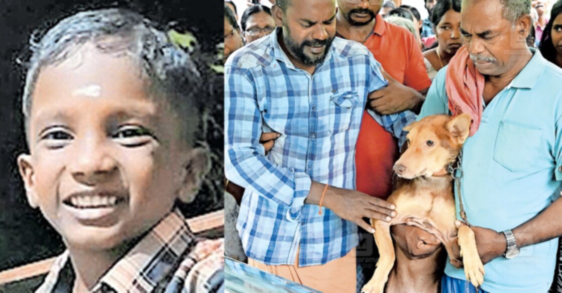 abhiram-death-home-cremation അഭിരാം
കൺനിറയെ... കോന്നി ഇക്കോ ടൂറിസം കേന്ദ്രത്തിൽ കോൺക്രീറ്റ് തൂൺ മറിഞ്ഞു വീണു മരിച്ച നാലുവയസ്സുകാരൻ അഭിരാമിന്റെ മൃതദേഹം കടമ്പനാട്ടിലെ വീട്ടിൽ പൊതുദർശനത്തിന് എത്തിച്ചപ്പോൾ, അച്ഛൻ അജിയും അപ്പൂപ്പൻ ചെല്ലപ്പനും ചേർന്നു വീട്ടിലെ വളർത്തുനായ പോപ്പിയെ അവസാനമായി അഭിരാമിന്റെ മൃതദേഹം കാണിക്കുന്നു. കുട്ടിക്കാലം മുതൽ കരുതലുമായി ഒപ്പം കൂടിയ പോപ്പിയെ അഭിരാമിന് ഏറെ ഇഷ്ടമായിരുന്നു. ഒരിക്കൽ അഭിരാം സൈക്കിളിൽ നിന്നു വീണപ്പോൾ പോപ്പിയാണ് ഓടിയെത്തി കുരച്ച് ബഹളംവച്ച് വീട്ടുകാരെ അറിയിച്ചത്. ചിത്രം: ഹരിലാൽ/ മനോരമ