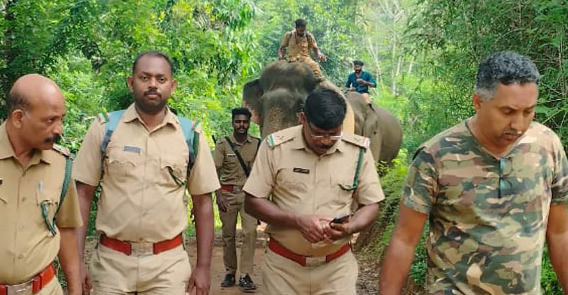 forest-officers-search-for-wild-elephant എരുമക്കൊല്ലിയിൽ കാട്ടനക്കായി തിരച്ചിൽ നടത്തുന്നവർ (Photo Special Arrangement)