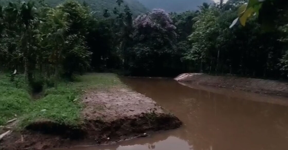 palakkad-death-drowning തുടിക്കോട്ടെ ചിറ. Image Credit: Special Arrangement