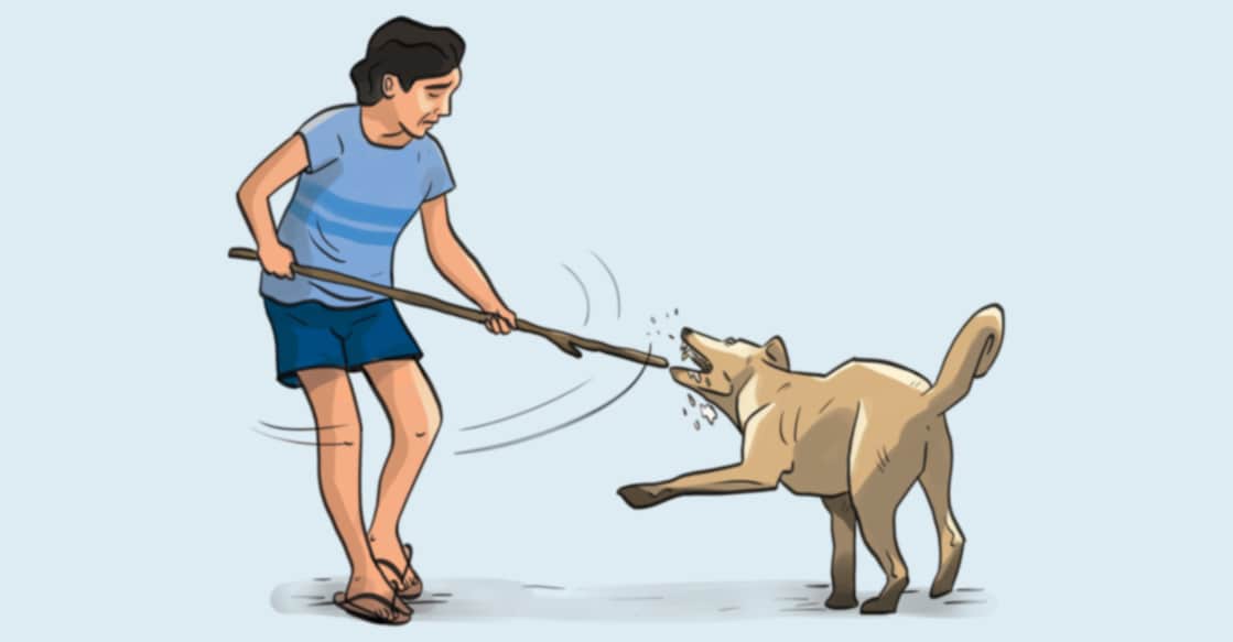 പട്ടിയുണ്ട് സൂക്ഷിക്കുക; നായ ആക്രമിക്കുമെന്നു തോന്നിയാൽ, നിങ്ങൾ തനിച്ചാണെങ്കിൽ, എടുക്കേണ്ട മുൻകരുതലുകൾ | മനോരമ ഓൺലൈൻ ന്യൂസ് - Dog bites are a ...