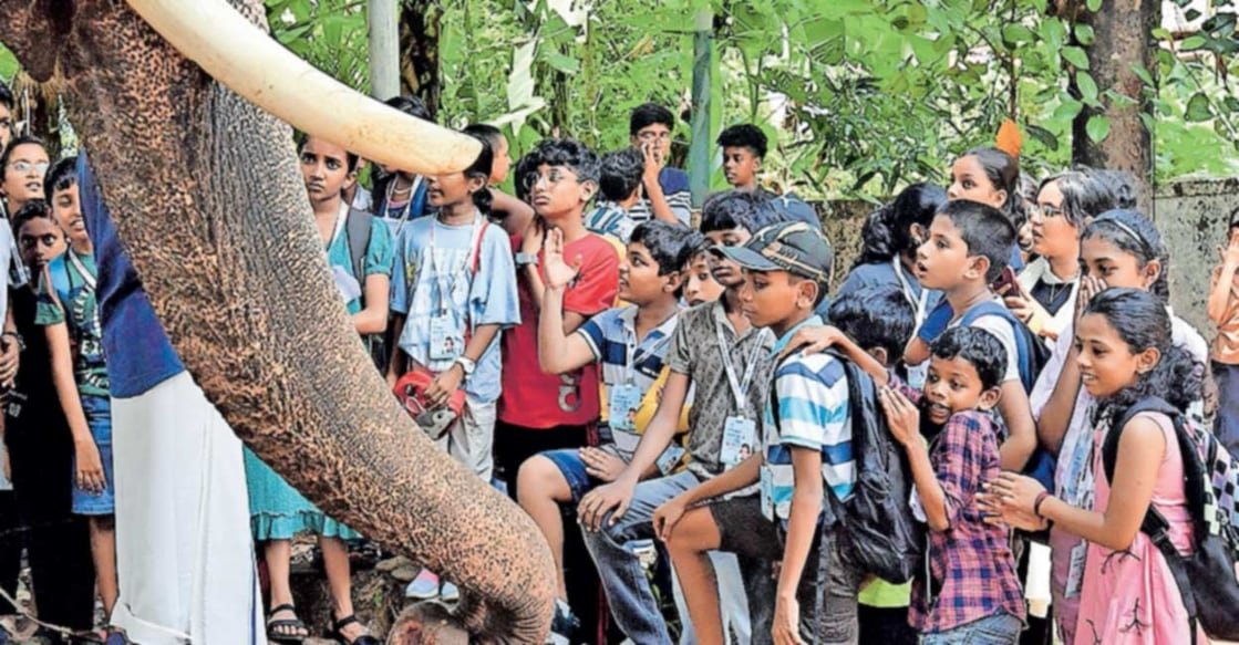 vazhappally-mahadevan-with-childrens വാഴപ്പള്ളി മഹാദേവൻ എന്ന കൊമ്പനു സമീപം ക്യാംപ് അംഗങ്ങൾ.