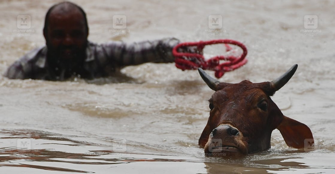 delhi-flood-manorama