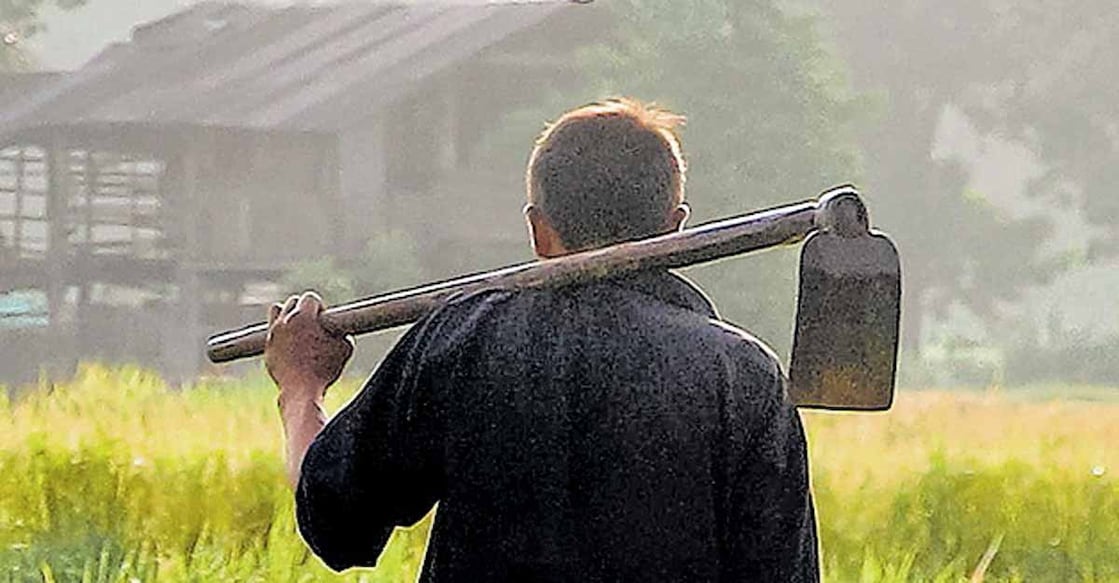 farmer farmer