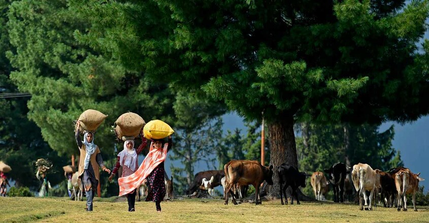 INDIA-KASHMIR-SOCIETY-PEOPLE INDIA-KASHMIR-SOCIETY-PEOPLE