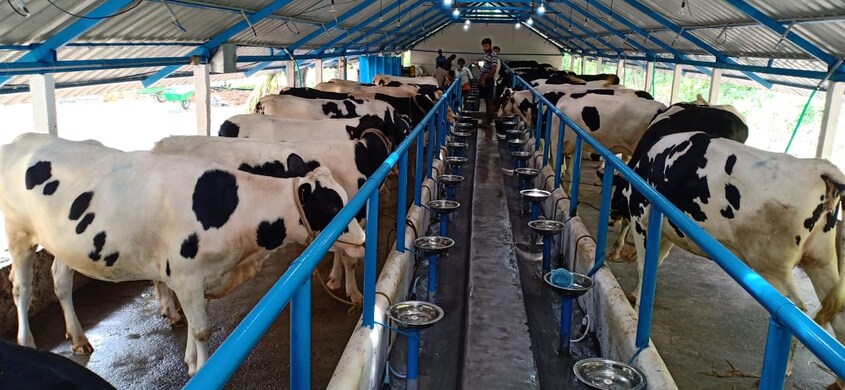 chittur-milk chittur-milk