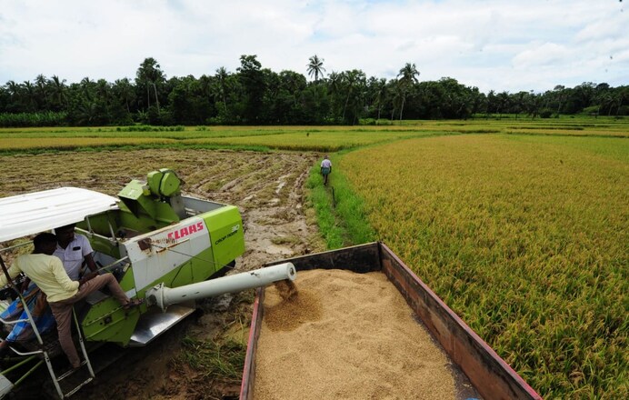 chittur-paddy chittur-paddy