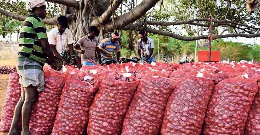 onion-sundarapandyapuram onion-sundarapandyapuram