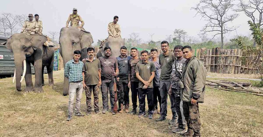 elephant elephant