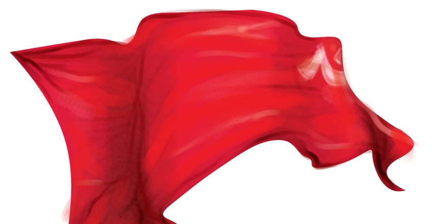 flag flag
