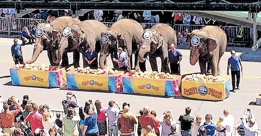 circus circus