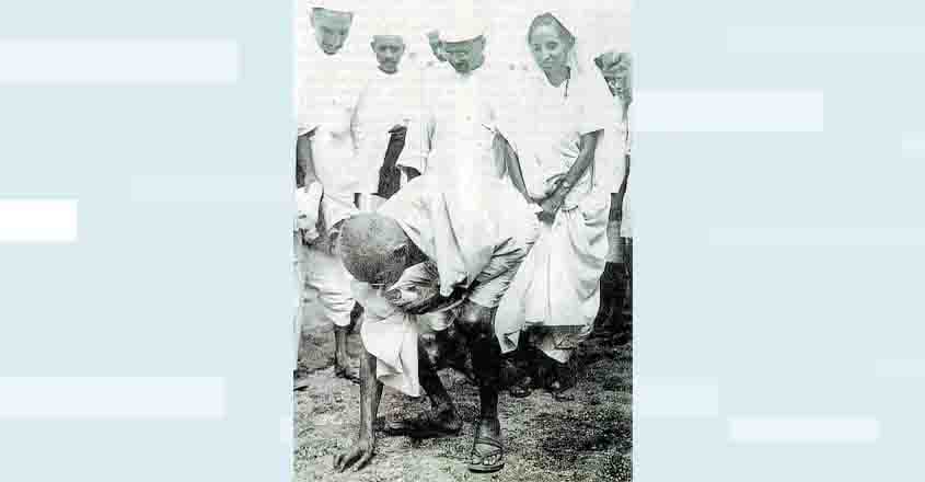 gandhi-dandi2 gandhi-dandi2