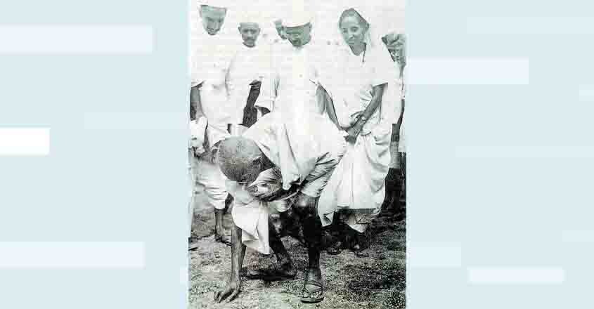 gandhi-dandi2 gandhi-dandi2