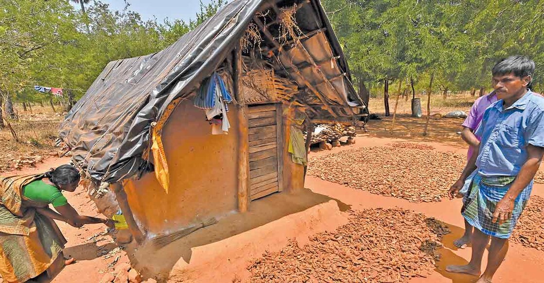 ant-killer ഉറുമ്പുകളുടെ ആക്രമണത്തിൽ നിന്നു രക്ഷനേടാനായി വീടിനു ചുറ്റും ഉറുമ്പുപൊടി വിതറുന്നു.