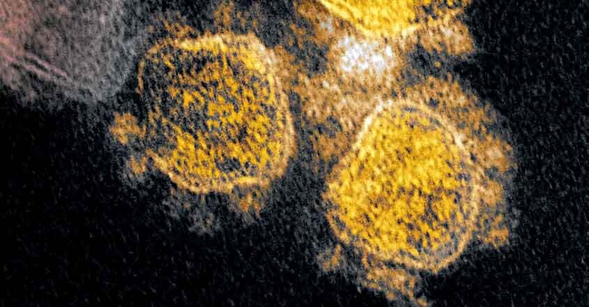 US-HEALTH-VIRUS US-HEALTH-VIRUS