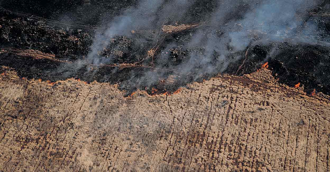 Devastating Wildfires Engulf Hawaiian Islands, Leaving Dozens Dead and Historic Sites Destroyed