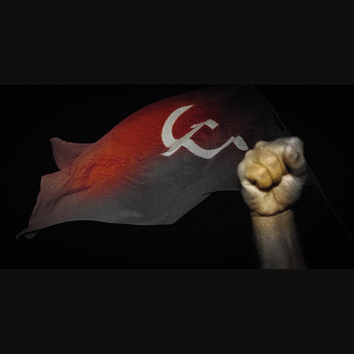 Image of CPM and CPI party flagsNJ680464Picxy