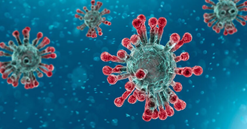 corona-virus corona-virus