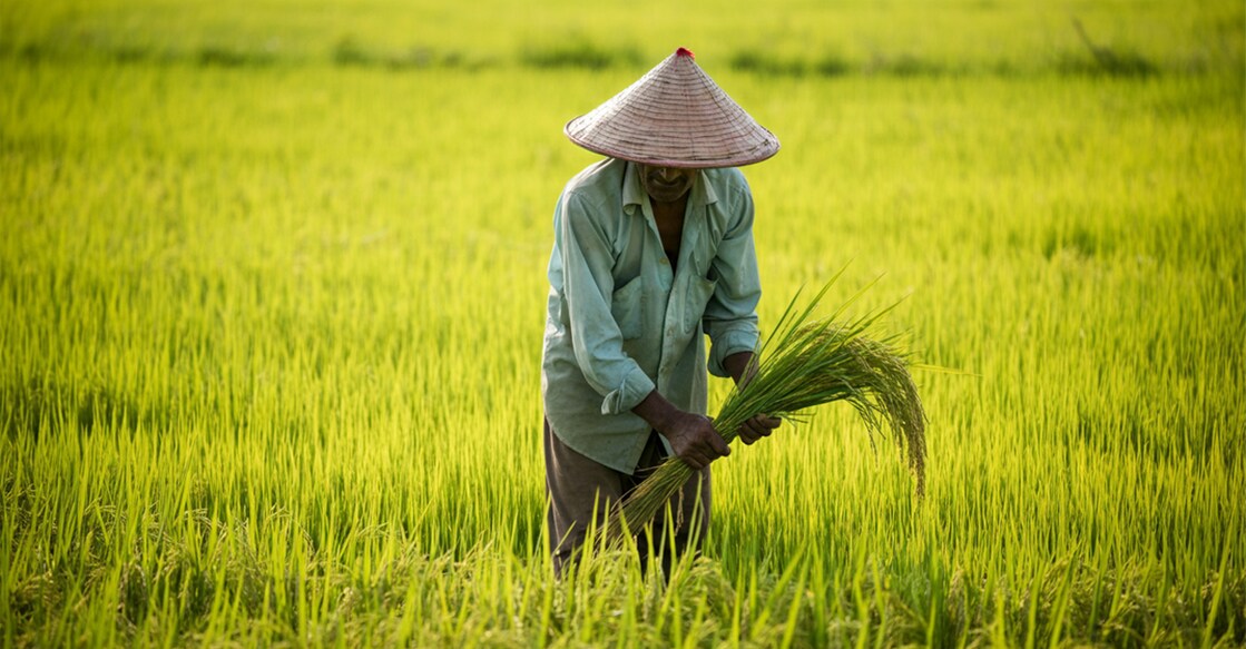 Photo Credit: Representative image created using AI Image Generator