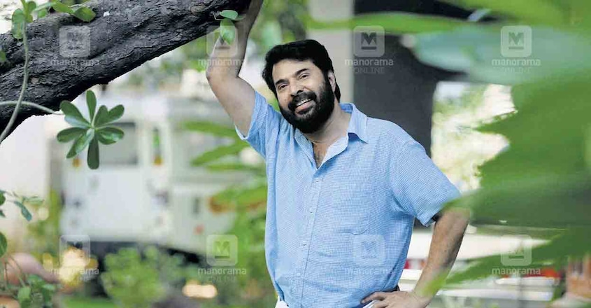 penkonthan-mammootty-turns-70-article-image penkonthan-mammootty-turns-70-article-image