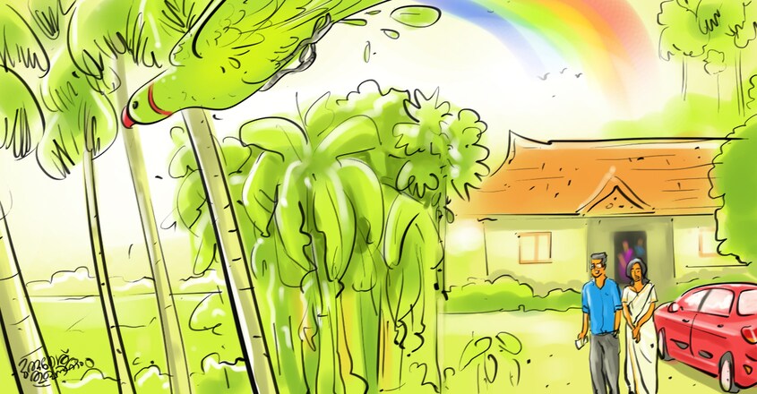 penakathy-column-oru-kuttanadan-pennukanal-article-image-illustration penakathy-column-oru-kuttanadan-pennukanal-article-image-illustration