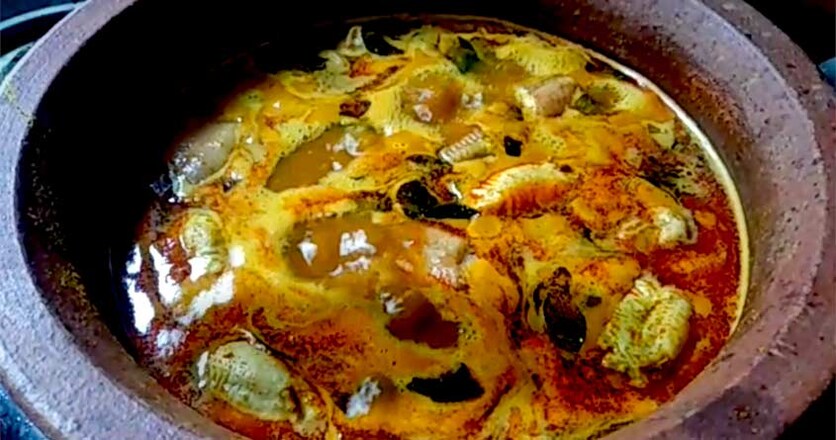 Cat Fish Recipe Cat Fish Recipe