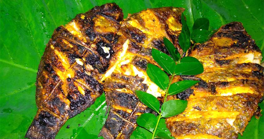 Grill-Fish Grill-Fish