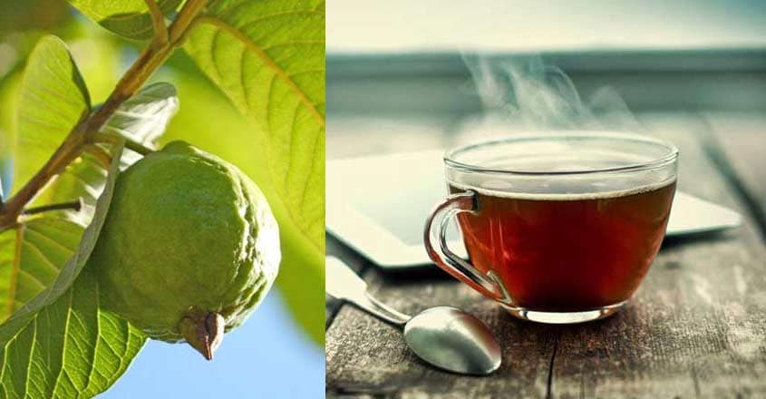 guava-tea guava-tea