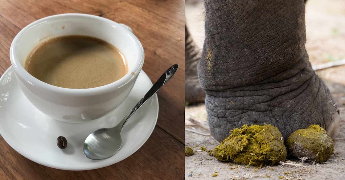 coffe-food-news