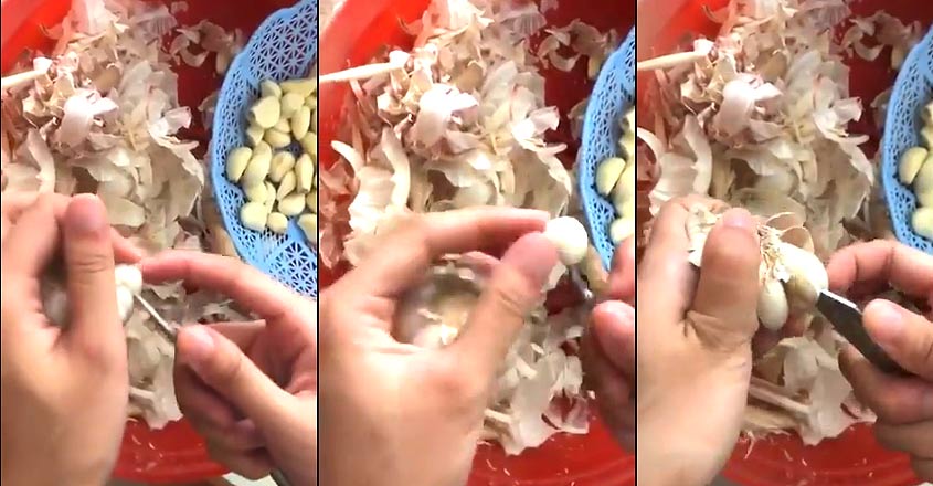 garlic garlic