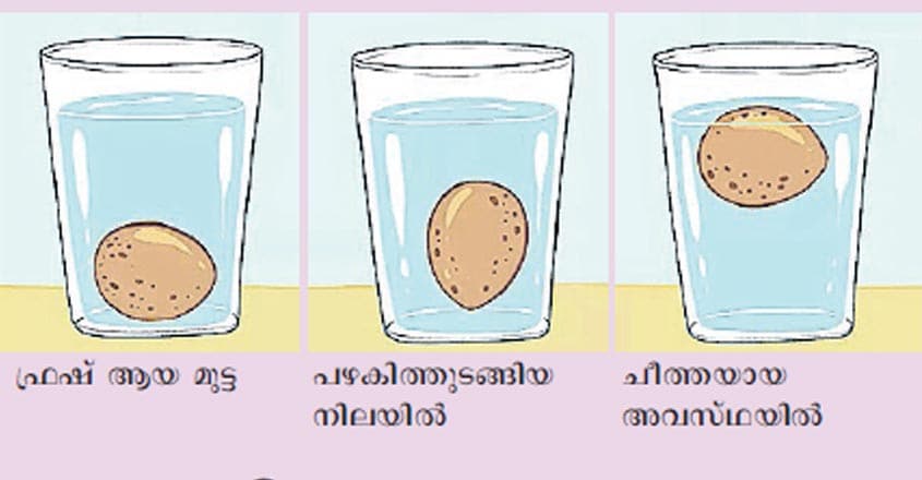 egg-test egg-test