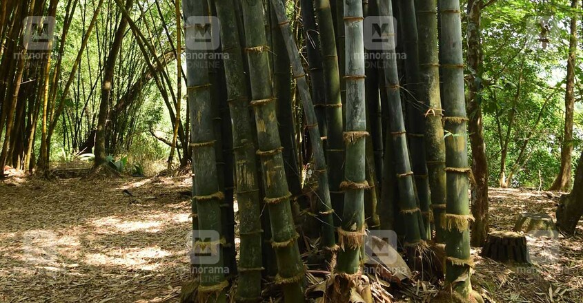 anamula-noor-lake anamula-noor-lake