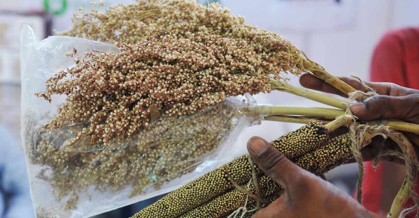 Millet Millet