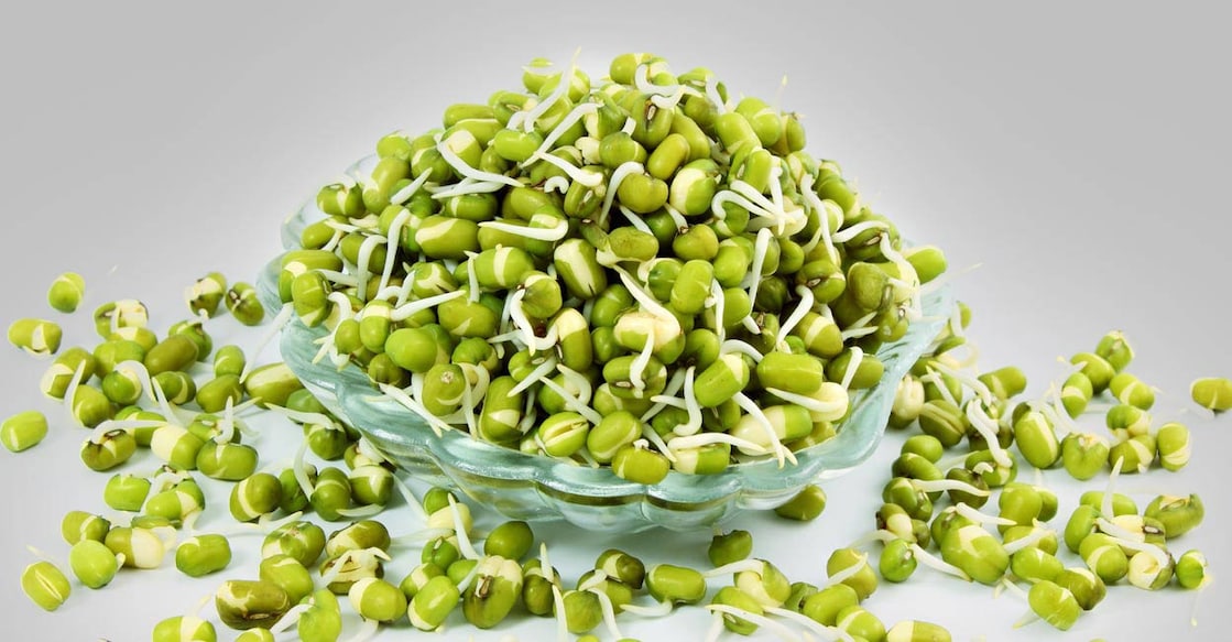 green-gram-sprouts Image Credit: Gv Image-1/Shutterstock