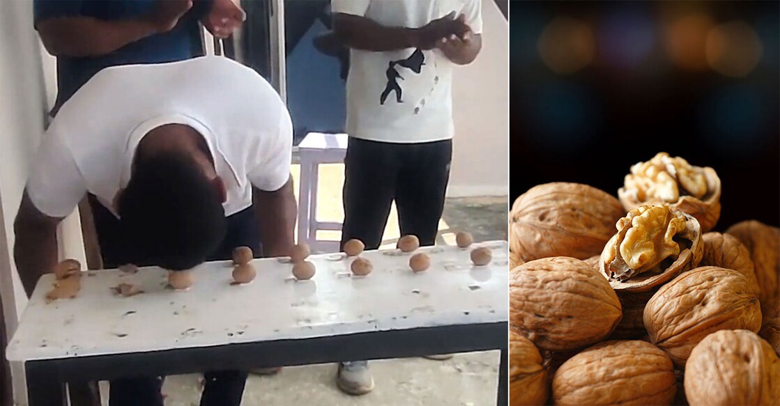 walnut walnut