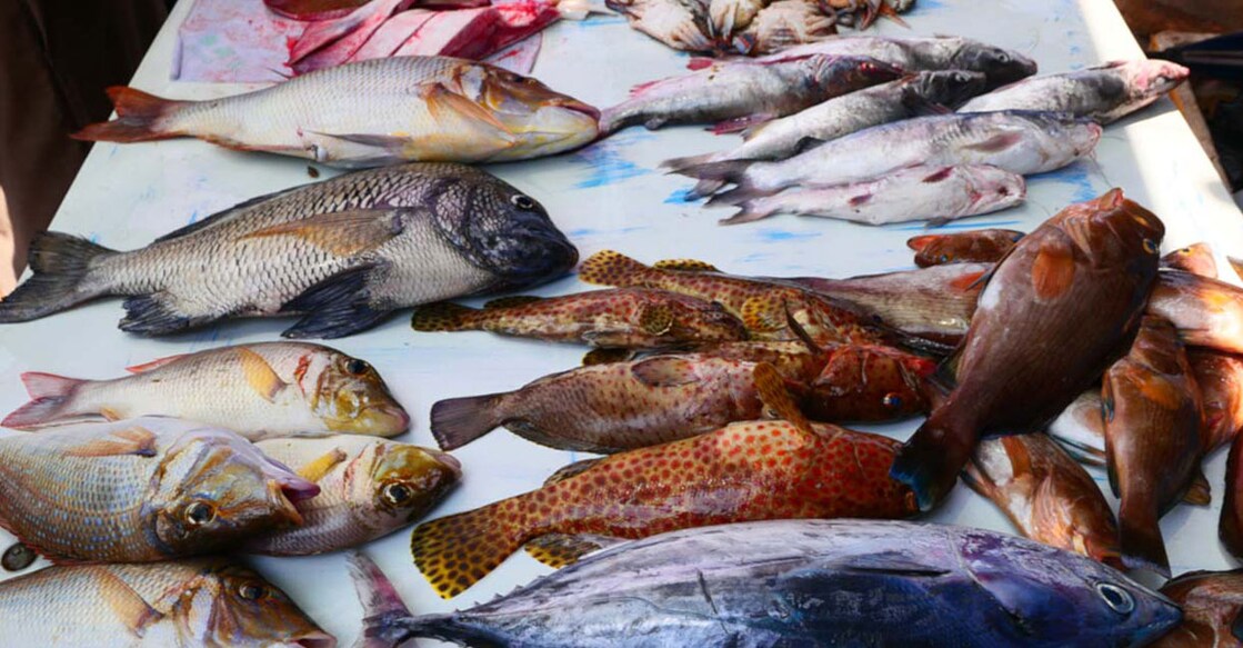 fish-market