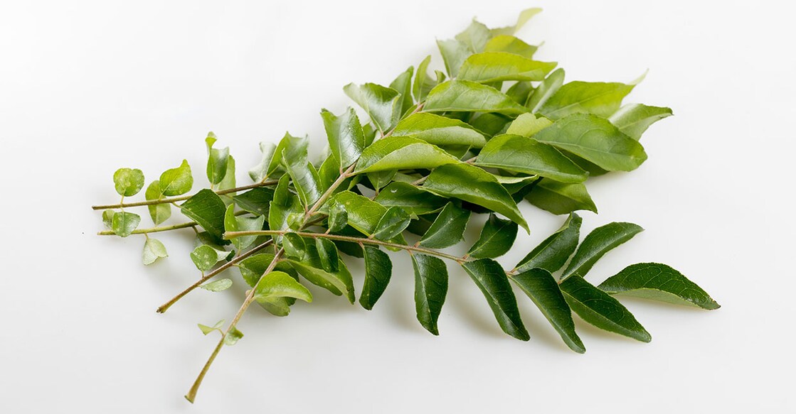 curry-leaves