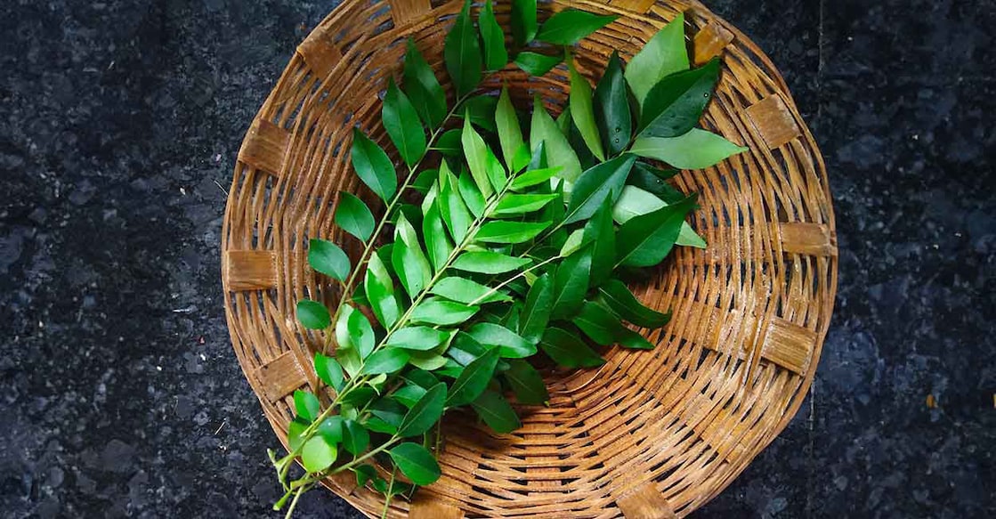 curry-leaves-long