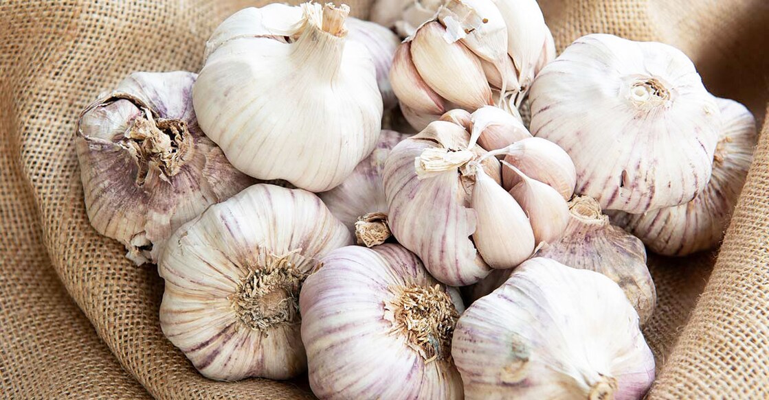 garlic garlic